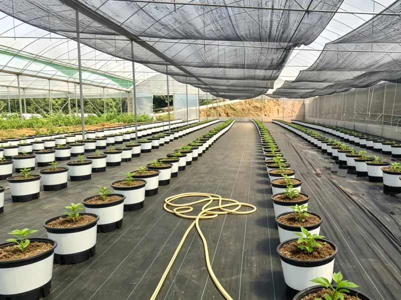 Agricmesh weed barrier