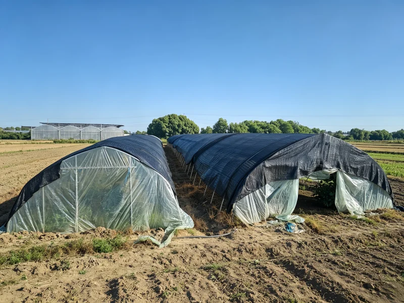 Agricmesh shade net