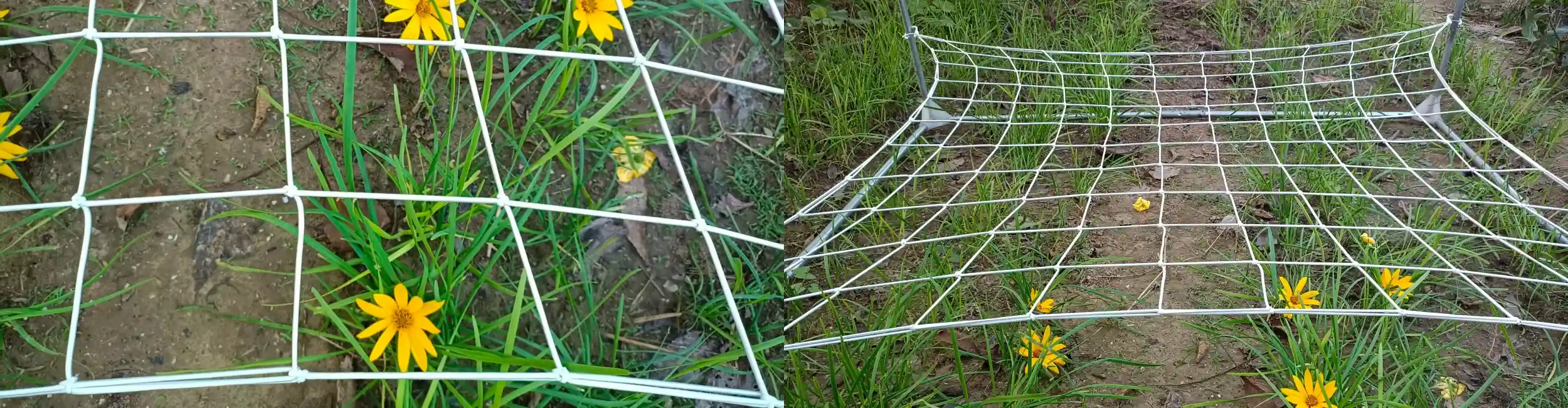 Elastic trellis netting -Agricmesh